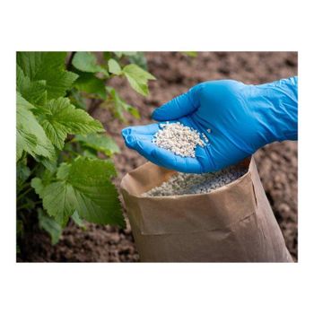 Granular N46 UREA 46% Nitrogen Fertilizer CAS No. 57-13-6 Volume > 1 L to 5 L Delivery Form Ampoules Primary Nutrient Nitrogen - MASI TRADING GMBH - Germany