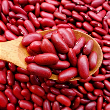 Red Kidney Beans For Sale Purity Greater Than 99%% Impurity Level Less Than 1%% Moisture Content Less Than 16.5%% Main Export Markets Europe And Asia - Farmers Cooperative Limited - Tanzania