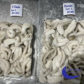 FROZEN CUT BABY OCTOPUS/OCTOPUS VULGARIS (BLOCK & IQF) Origin VIET NAM, Viet Nam Grade Premium (recovery Rate: 65+) Minimum Order Quantity One 20-foot Container - HÒA THẮNG SEAFOOD - Vietnam
