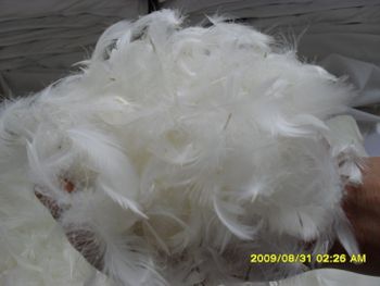 goose feather - lujiang huarun down co.ltd - China