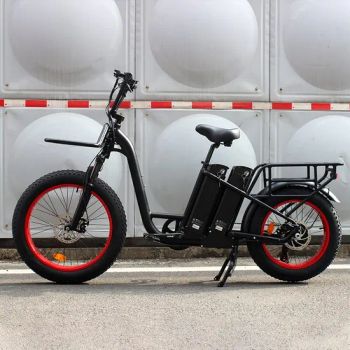 Long Range Dual Battery 150km Electric City Bike Electric Cargo Bike for Pick up Kids or Food Delivery - Changzhou Avelo Electric Technology Co., Ltd. - China