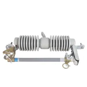 Lugao Hot Sales Porcelain High Voltage Drop-out Fuse Model NO. RW Shape Circle Standard CCC Fusing Speed FF Trademark - Lugao Power Co., Ltd. - China