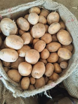 Potato 3797 - JNP ENTERPRISES - India