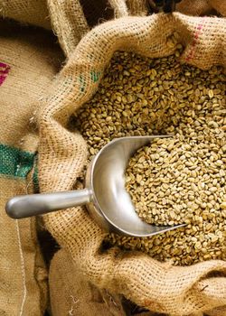 Professional Grade Green Coffee Arabica For Roasting Houses Specialty Cafes And Coffee Manufacturers Seeking Raw Beans from EAST LAND PROPERTIES Professional Grade Green Coffee Arabica For Roasting Houses Specialty Cafes And Coffee Manufacturers Seeking Raw Beans - EAST LAND PROPERTIES - Tanzania