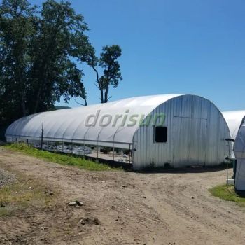 Greenhouse Rubber Seal Strip Small Greenhouse Plastic Single Span Film Greenhouse - Henan Dorisun Agricultural Technology Co, . Ltd - China