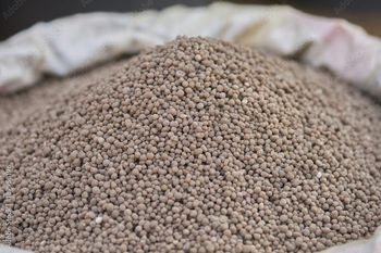 Hot Selling High Purity Dap Fertilizer 18-46-0 Diammonium Phosphate Granular CH4N2O MF - Carla Pisselli Commercio - Brazil