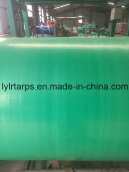 Lurun Waterproof HDPE Woven Fabric Green PE Tarp Roll for Truck Cover - Linyi Lurun Plastic Tarpaulin Factory - China