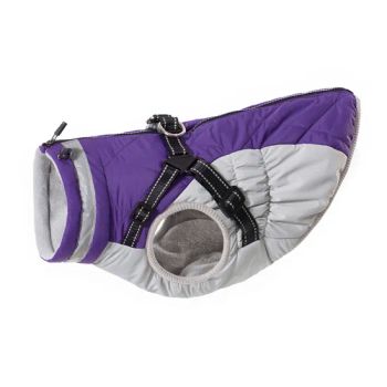Top Quality Pet Dog Clothing Chest with Zipper and Buckle Double Adjustment Pet Clothes for Outdoors Training - Fuzhou Jollyyou Apparel Company., Ltd. - China