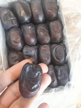 mazafati and sayer and zahedi dates - Ilya sanat pardis dates - Iran