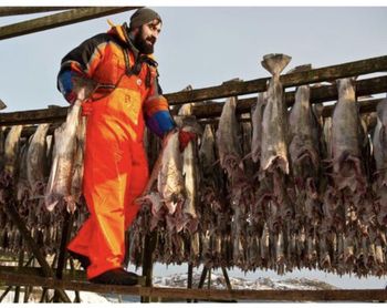 Norwegian stock fish-dried cod Icelandic stock fish heads - KORACHI INDUSTRY LTD - United States