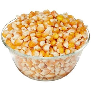 High Grade Maize Grain For Animal Feed Mills And Food Processing Businesses With Good Kernel Condition Reliable Supply - EAST LAND PROPERTIES - Tanzania