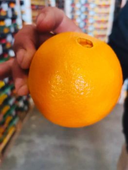 Navel Oranges - Grade A - Juicy & Seedless - Fresh Harvest - Global GAP Certified- Organic Export - Organic For Import & Export And Commercial Agencies - Egypt