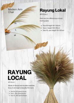 Dried Flowers For Home Decoration /Call for price info@rayyanagri.com - Rayyan Barakat - Indonesia