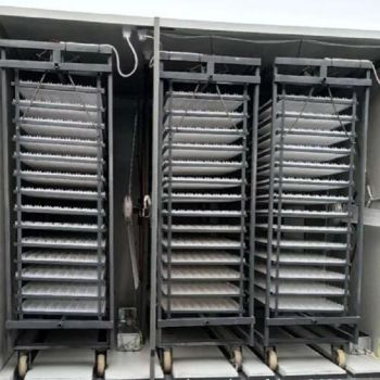 Innovative Egg Hatching Incubator for Chicken and Duck Eggs - Shenyang Joyrise Co., Ltd - China