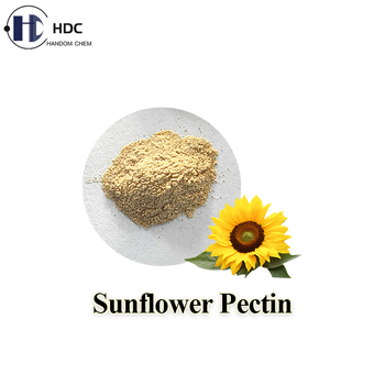China origin high quality Sunflower Pectin used as a thickening agent in syrup jams and yoghurt - Dalian Handom Chemicals Co., Ltd. - China