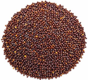 Mustard Seeds - S.S International Trading - Bangladesh