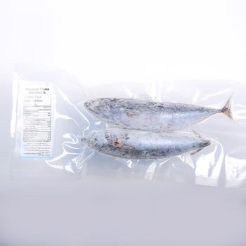 Frozen Tuna Fish Seafood Export Favorite Featuring Rich Natural Flavor Balanced Moisture And Reliable Packaging - TOSOH INTERNATIONAL - South Africa