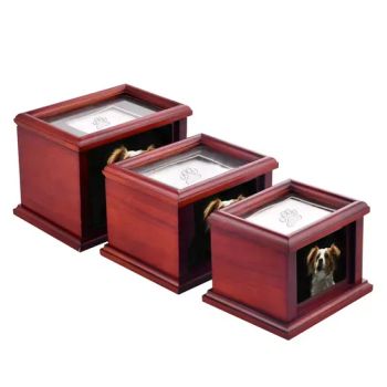 Wholesale Resin Pet Cremation Pet Coffin and Urns for Pets Ashes Brass Wooden Box - Nanjing Fav Pet Sup Ltd - China