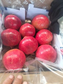 Orange and pomegranate - AL-SEDIK FOR FRUITS AND VEGETABLE EXPORT AND TRADING - Egypt