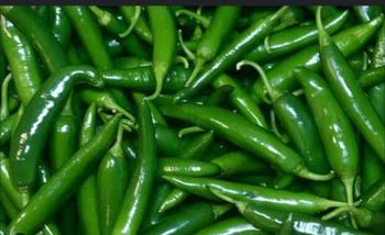 Fresh Green Chilli - Blatme Nigeria Ltd - Nigeria