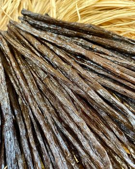 Madagascar Vanilla Beans Origin National Features Organic Product Type Spices - MAECHA TRADING - Global