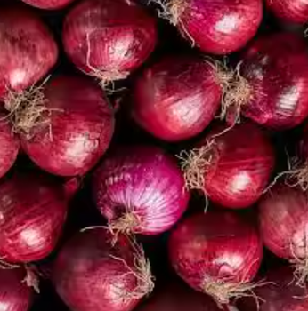 Red Onion – product photo, Dry Red Onion products found from trusted suppliers, wholesalers, manufacturers & exporters Listing