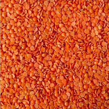 Red Lentil Color Red Organic Status 100% Organic Certification Canada Food - Core International - Canada