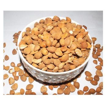 Wholesale Supplier Of Bulk Fresh Stock of Raw Organic Apricot kernel Nuts  -  CALIPSO POLSKA SP Z OO  - Poland