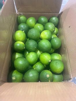 Vietnam Fresh Seedless Lime Origin Vietnam Product Type Fruits & Vegetables Cold Chain Temperature +4°C, Suitable For Reefer Export - Darie Commodities CO., LTD - Vietnam