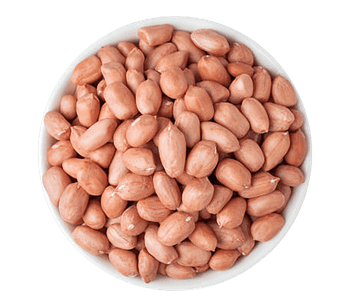 Groundnut Kernel Grade A Type PEANUT Max. Moisture (%) 7 Material Without Shell Varieties Bold And Java Moisture Content 7% – 8% Maximum - NEEMVL EXPORTS LLP - India