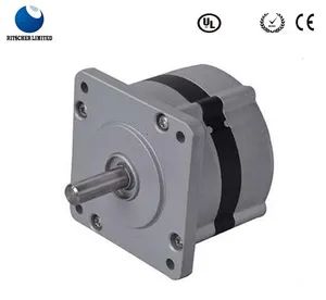 BLDC Brushless Electrical Motor for Blower Fan/Home Appliance - RITSCHER INTERNATIONAL LIMITED - China