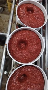 Tamato paste - BF GLOBAL TRADING (PTY) LTD - South Africa