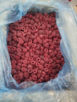 dried raspberry berries - Freeze Dried Fruit LTD - Uzbekistan