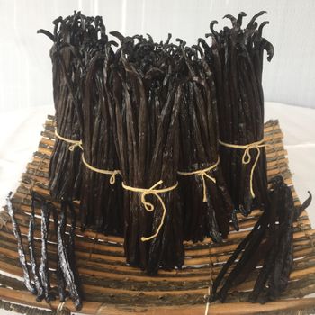 RENDAH PLANIFOLIA GOURMET VANILLA BEANS Super Premium Quality Indonesia Hot Selling Bourbon Vanilla Pods with Reasonable Price - Rendah Vanilla - Indonesia