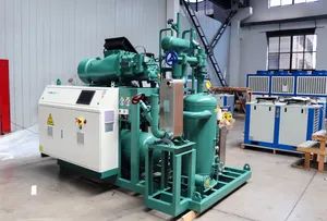 40HP Cold Storage High Quality Condensing Unit with Screw Compressors - Jiangsu Zhexue Cold Chain Equipment Co., Ltd. - China