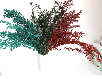 Three types of eucalyptus leaves Weight 100g Length 40-60cm Types Three Types Form Dried Leaves Intended Use Craft Projects, Home Decor, - flowerbeautifuleverlasting - China