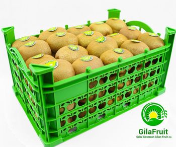 Kiwi Fruit Iranian - GilaFruit - Iran