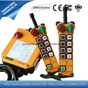 24V/12V Remote Control Switch with 2 Transmitter with 1 Receiver Telecrane Remote Control F24-8d-2tx for Sany Crane, XCMG Crane, Tadano Crane, Demag Crane - Henan Dirk Electronic Co., Ltd. - China