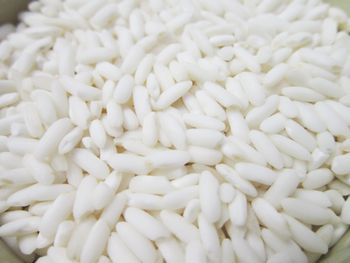 Fresh Sticky Rice Naturally Delicious Choice For Everyday Kitchens Traditional Dishes Sweet - TRADECENTRIC LLC - United States