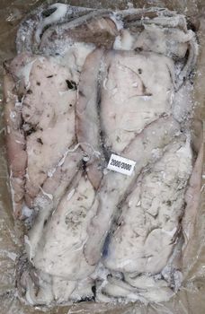 Frozen cuttlefish - amigoseafood co - India