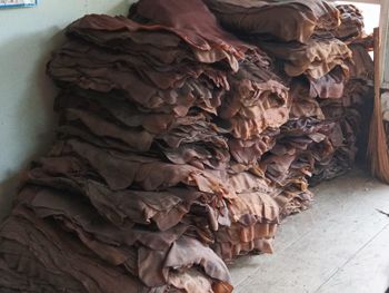 Bulk Donkey Hides Wet Salted Dry Salted Export Grade Natural Animal Skins for Leather Processing and Tanning Industry from AGRONOVA Bulk Donkey Hides Wet Salted Dry Salted Export Grade Natural Animal Skins for Leather Processing and Tanning Industry - AGRONOVA - United States