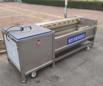 Automatic White Radish Skin Remove Potato Ginger Yam Vegetable Fruit Peeler Carrot Peeling Washing Machine - Funen (Shandong) Industrial Co., Ltd. - China