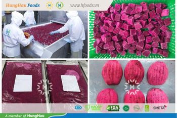 Red-flesh Dragon Fruits - Hung Hau Foods - Vietnam
