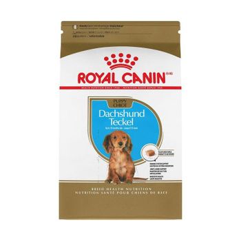 Balanced Diet Pet Food Royal Canin Nutrition Solution Bulk Supply Fast Delivery - Koto Global Trade SPRL - Belgium