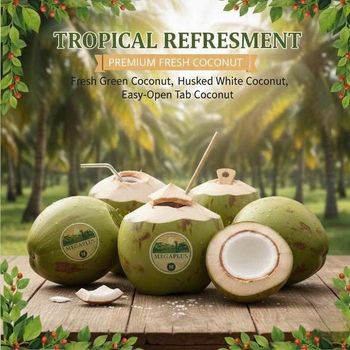 Fresh Young Coconut Origin Vietnam Degree of Processing Fresh - MEGAPLUS AGRI CO., LTD - Vietnam