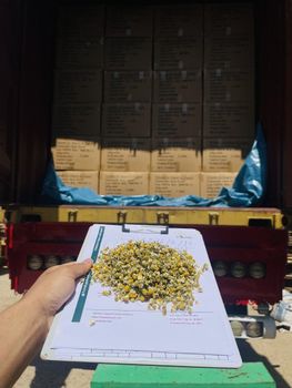 Egyptian Organic Chamomile Flowers (Grade A - Fine Cut & Whole Flowers) - Friends For Import & Export - Egypt
