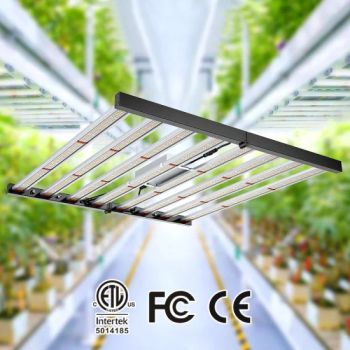 400W 600W 800W Full Spectrum LED Grow Light Bulbs UV Grow Lights for Plants - Shenzhen BBier Lighting Co., Ltd. - China