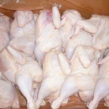 Frozen Meat Like Chicken Paws And Feet - BF GLOBAL TRADING (PTY) LTD - South Africa