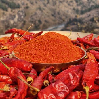 Chilli powder - Neo Palates Pvt Ltd - India