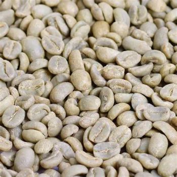 Arabica Coffee bean Packaging 60kg Jute Bags Processing Method Washed / Natural Origin Yirgacheffe, Sidamo, Limu, Guji Flavor Profile Rich Aroma, Balanced - ayuda trade - Ethiopia